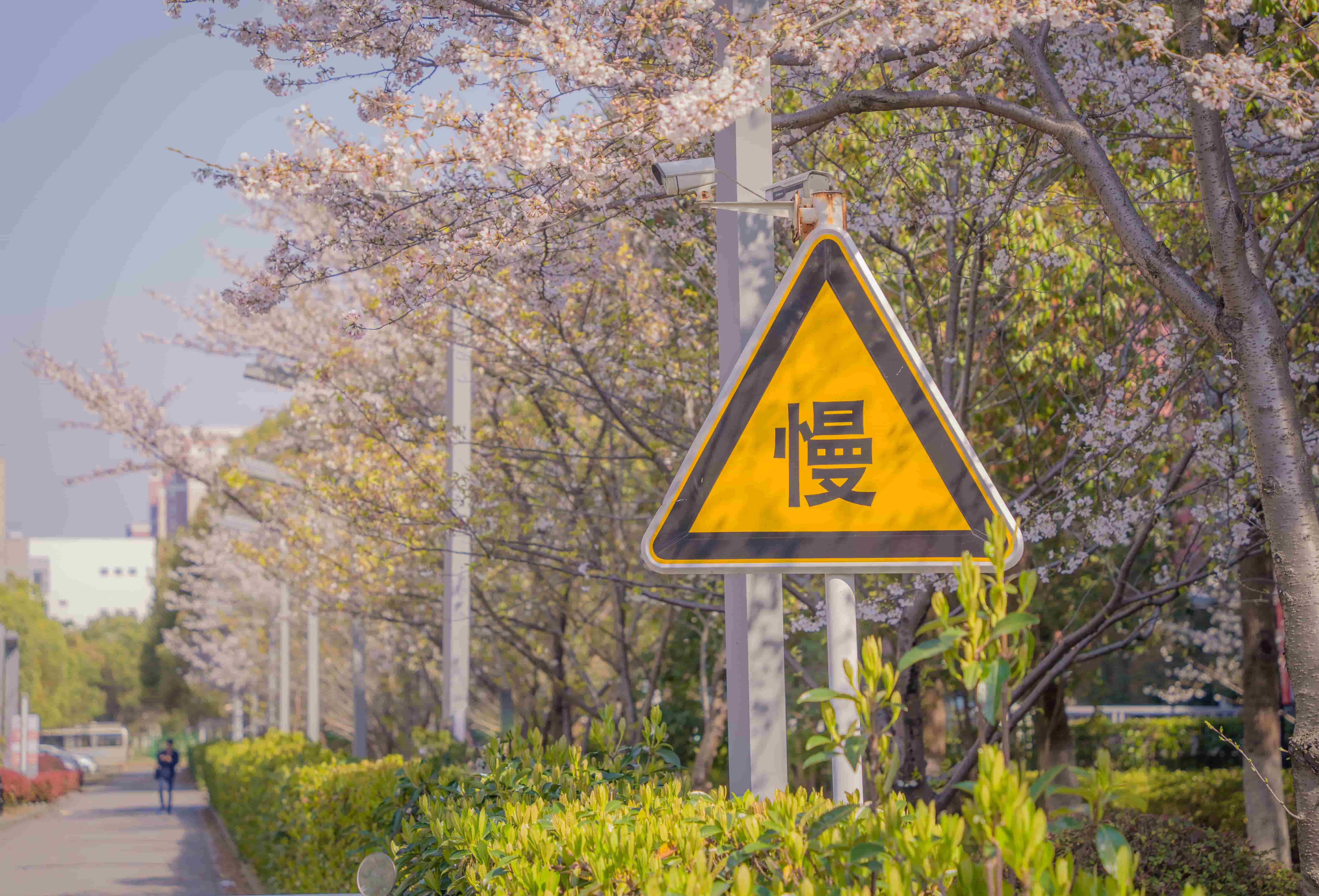点击可放大观看